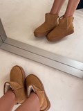 41790_3.jpg