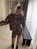 41312_1.jpg