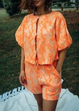 40675_2.jpg