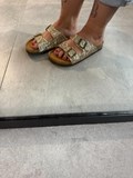 39728_3.jpg